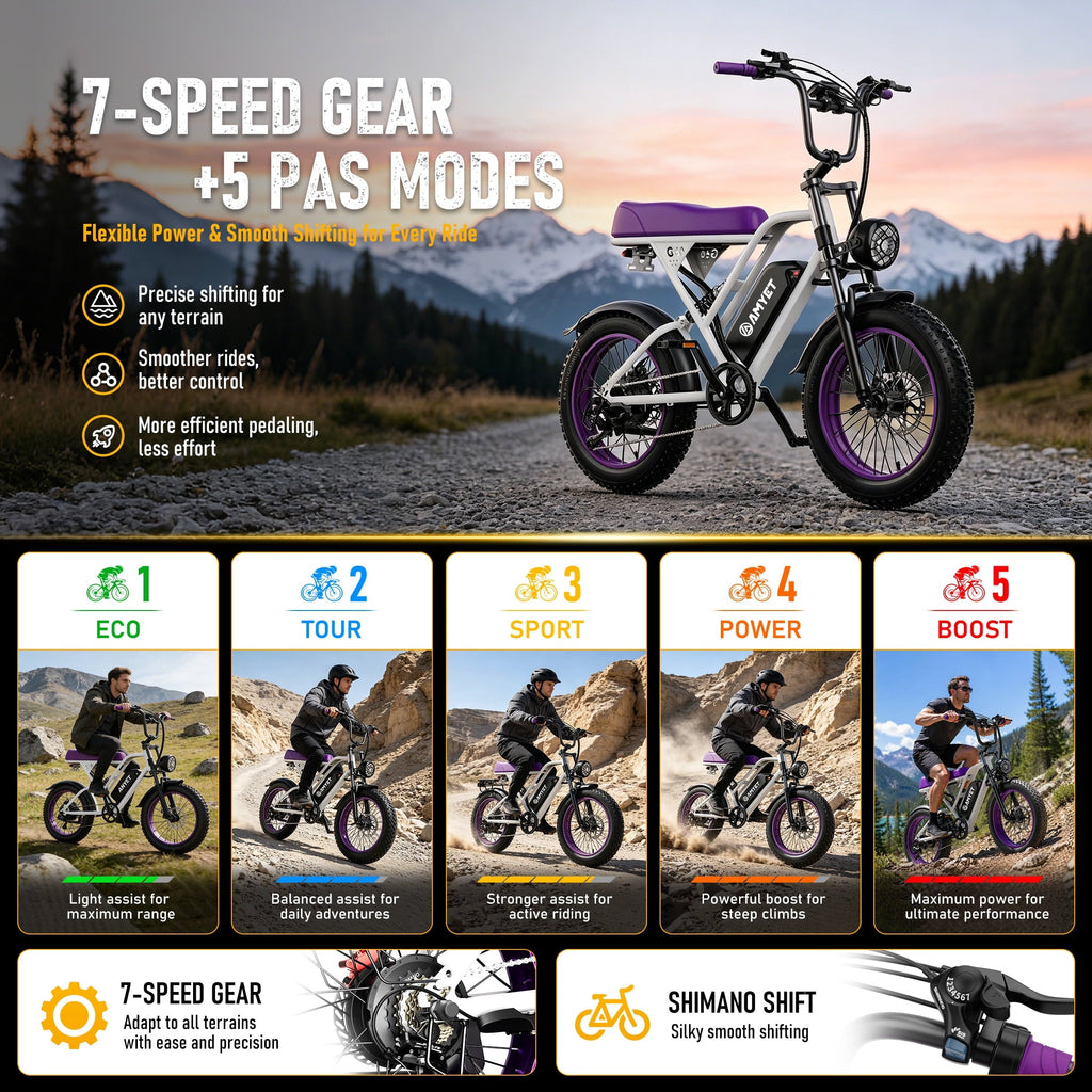 AMYET G60 Electric Bike for Adults, 1000W Peak 1500W, 48V 20Ah, 20x4 Fat Tire E Mountain Bike, UL2849