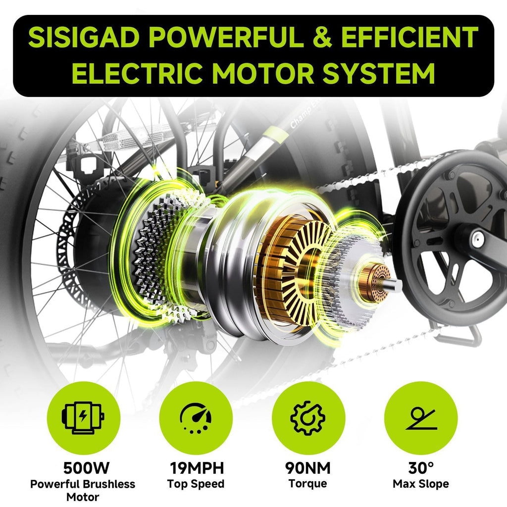 SISIGAD Electric Bike for Adults, 500W Peak 750W Battery Long Range, 20mph E Mountain Bike, 20×4.0 Fat Tire Ebike, Electric Bicycle 48V/10.4AH UL2849