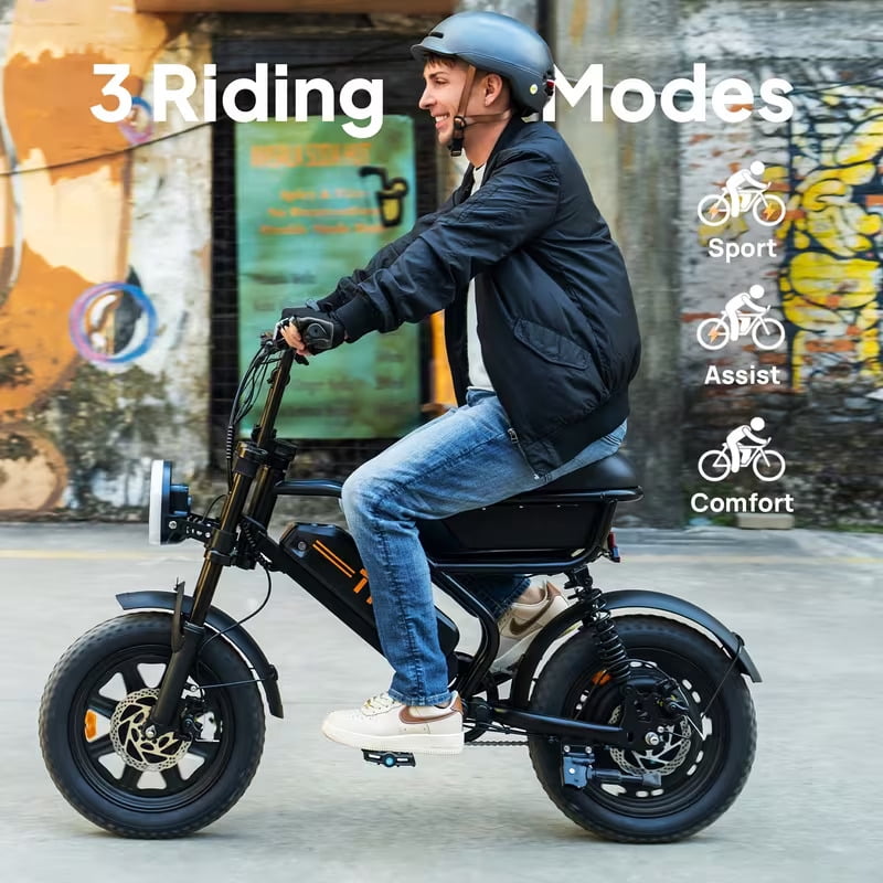 URLIFE 16*3.0 Fat Tire Electric Bike for Adult, 1000W Peak Motor, 48V 13Hh Removable Battery, Up to 28MPH 80Miles Range, Electric Dirt/Mountain Bike-UL2849