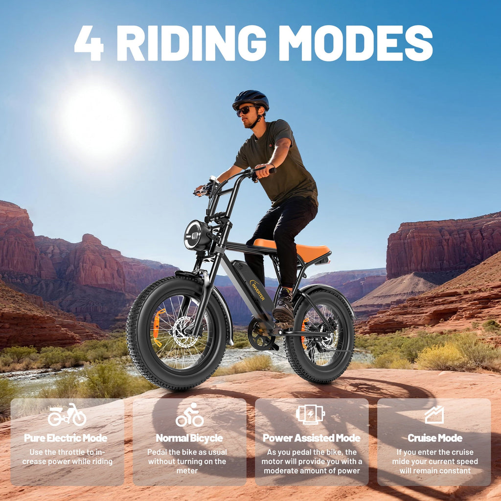 C INVERTER 20 x 4 Fat Tire Electric Bike for Adults, Peak 1100W Motor Retro Ebike Mountain Bike, 48V 14.5 Ah Removable Battery, Max Speed 28 Mph Electric Bicycle Snow Bike