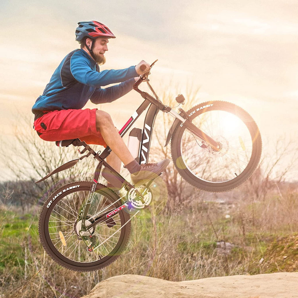 Vivi Electric Bike for Adults 26 Electric Mountain Bike 500W Cruise Control Electric Commuter Bike 21 Speed with Removable 48V Battery