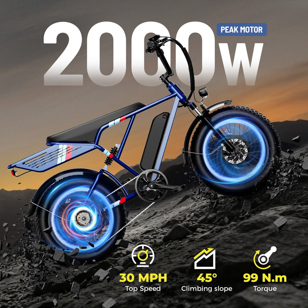 YareYi Electric Bike for Adults, 2000W Peak E-Mountain Bicycle, 20x4 Fat Tire 30mph Ebike, 48V 624Wh Removable Battery 70Miles Range, 7 Speed and Full Suspension UL2849
