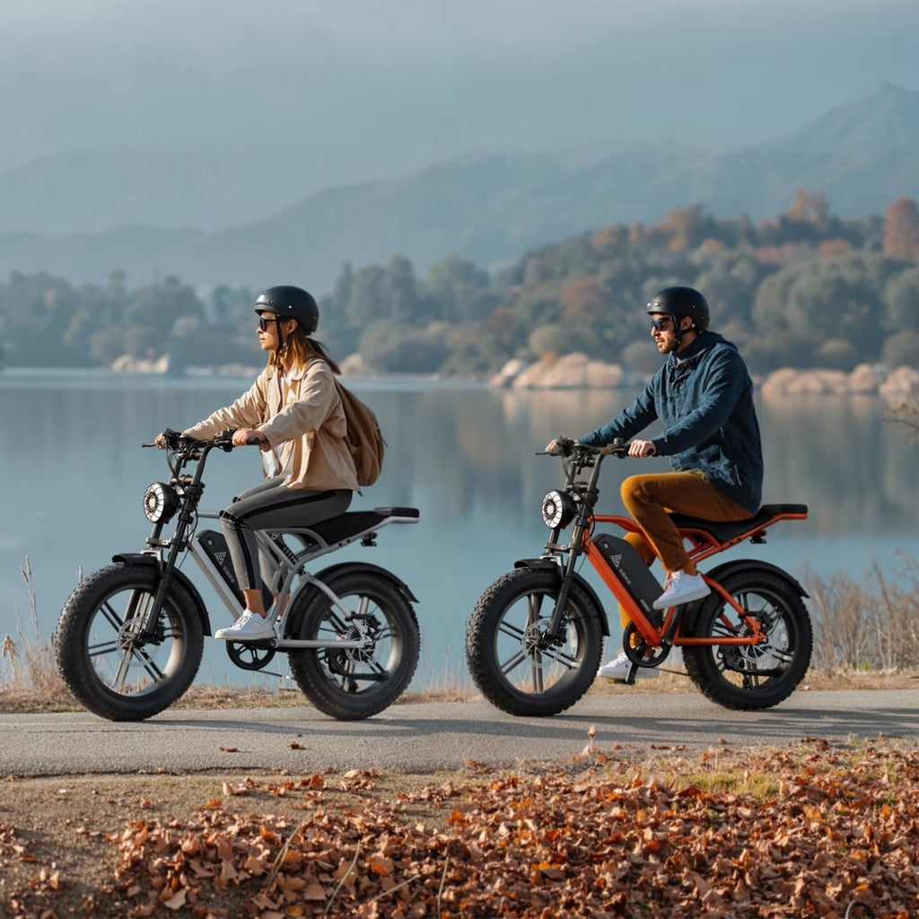 TST Electric Bike for Adults, 750W Peak 1500W Motor, 20x4 Fat Tire, E Mountain Bike, 48V/15AH UL2849