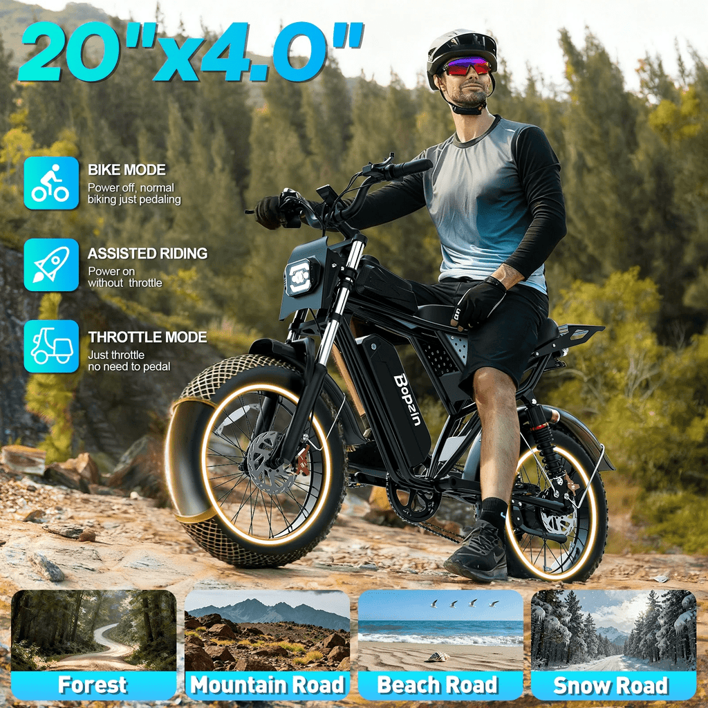 Electric Bike for Adults,1500W 35MPH,48V 20AH 30-80 Miles,20'' Fat Tire Mountain Bike with Rear Rack UL2849