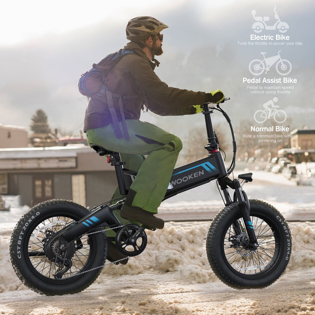 Wooken 20X4.0 Fat Tire Electric Bike for Adults, 500W Foldable Electric Bicycle with 48V 10Ah Built-in Battery, Shimano 7 Speed, Dual Shock Absorber