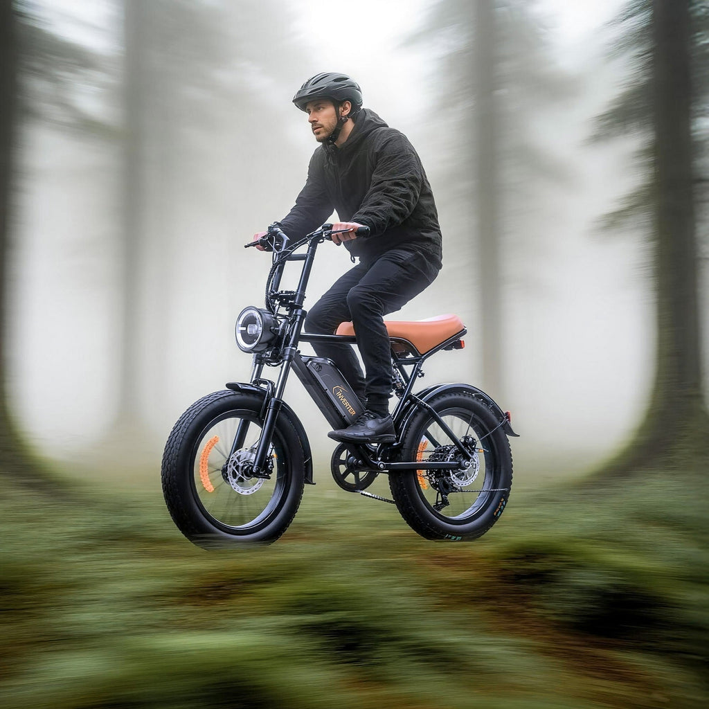 C INVERTER 20 x 4 Fat Tire Electric Bike for Adults, Peak 1100W Motor Retro Ebike Mountain Bike, 48V 14.5 Ah Removable Battery, Max Speed 28 Mph Electric Bicycle Snow Bike