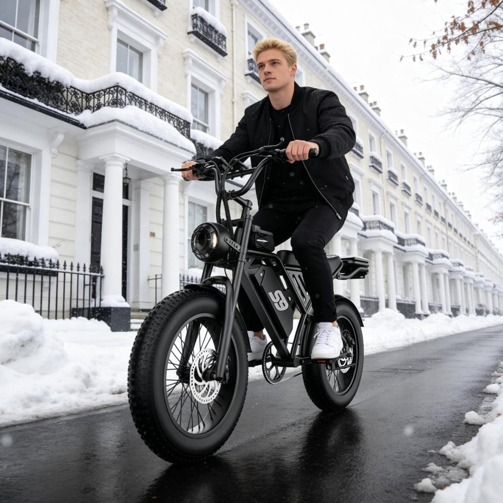 2200W Peak Electric Bike, 48V 20Ah &25MPH & 65Miles Range, 20''x4'' Fat Tire Mountain Ebike, Removable Battery, Rear Rack, Adult Electric Bicycle, UL2849