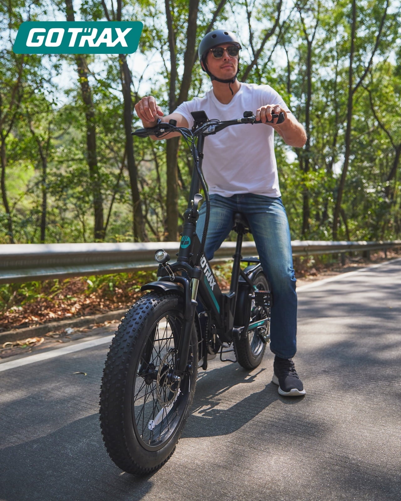 GOTRAX R2 Folding Adult Electric Bike, 500W 20mph, 20 x 3 Fat Tire, LCD Display, Black