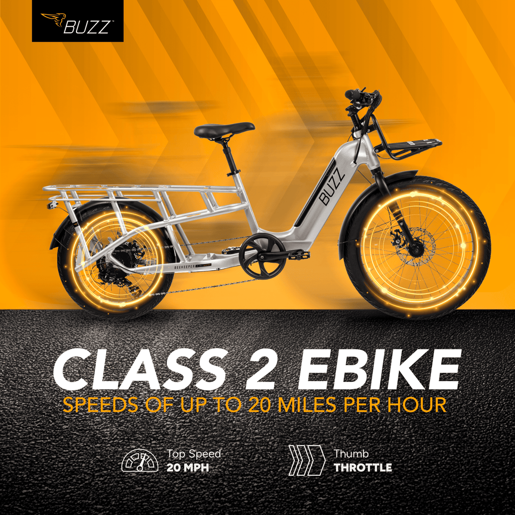 Buzz 24 Beekeeper 48V Electric Cargo Bike, Fits Riders 60+, Silver, Adult, Unisex