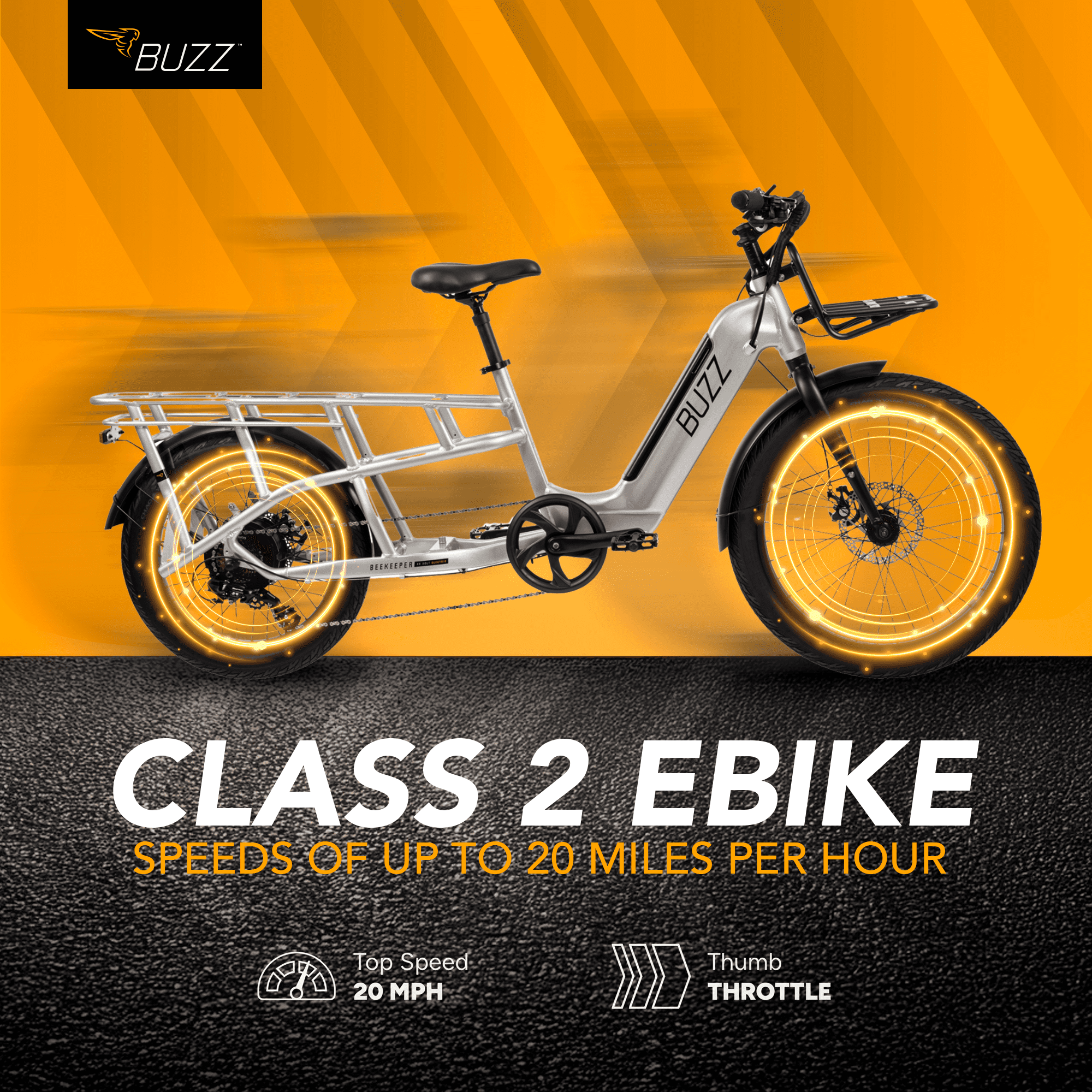 Buzz 24 Beekeeper 48V Electric Cargo Bike, Fits Riders 60+, Silver, Adult, Unisex