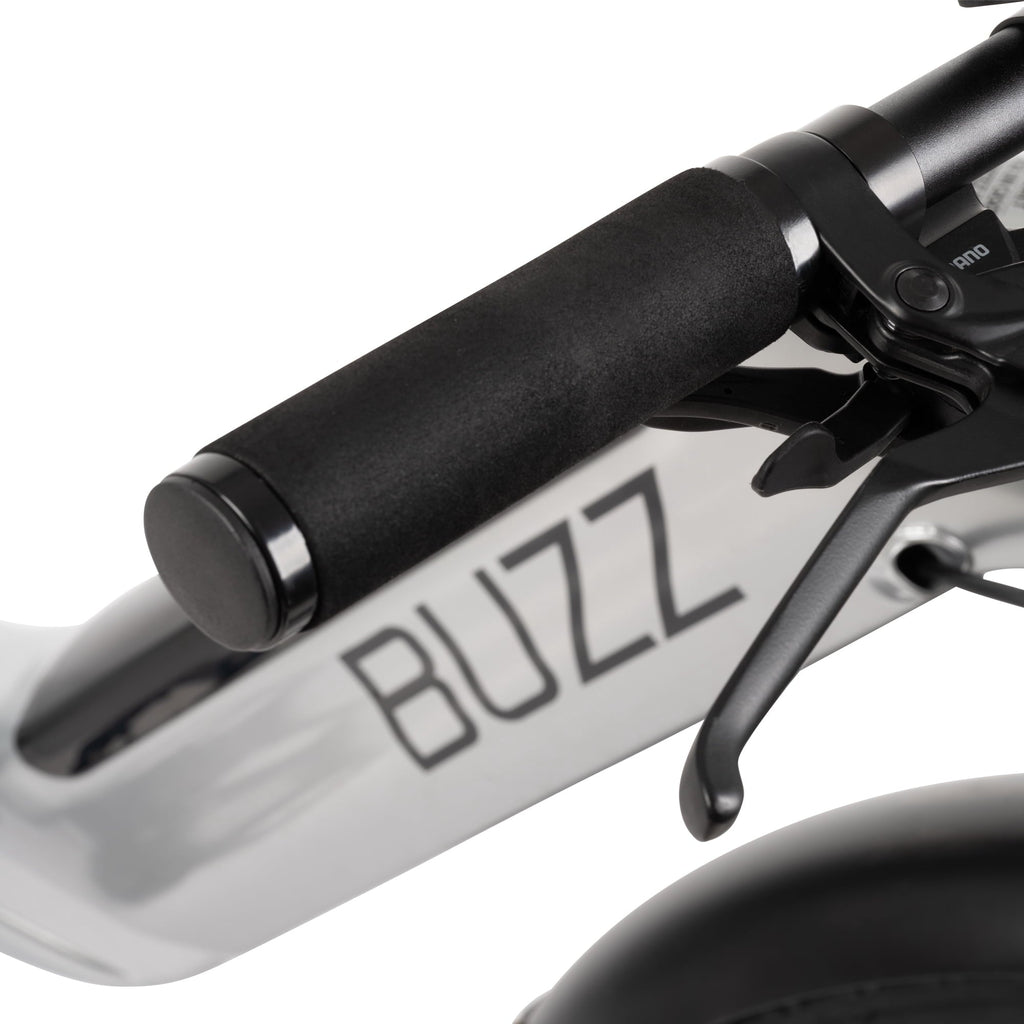Buzz 24 Beekeeper 48V Electric Cargo Bike, Fits Riders 60+, Silver, Adult, Unisex