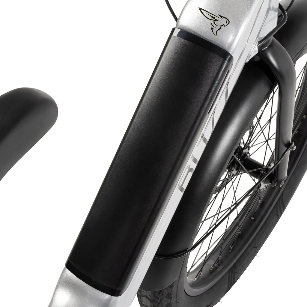 Buzz 24 Beekeeper 48V Electric Cargo Bike, Fits Riders 60+, Silver, Adult, Unisex