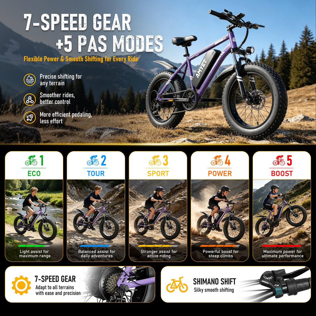 AMYET 1000W Electric Bike, 20 Fat Tire Ebike 28MPH 48V 15Ah E-Mountain Bicycles UL2849 Black