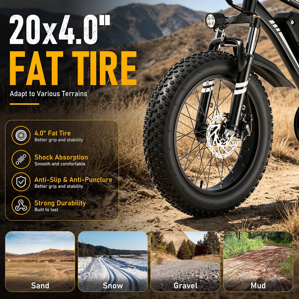AMYET 1000W Electric Bike, 20 Fat Tire Ebike 28MPH 48V 15Ah E-Mountain Bicycles UL2849 Black