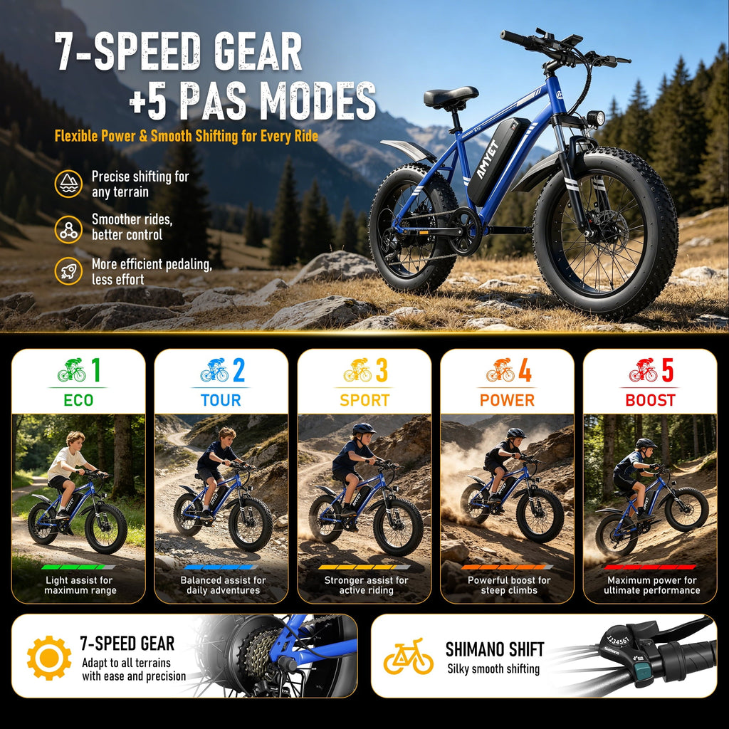AMYET 1000W Electric Bike, 20 Fat Tire Ebike 28MPH 48V 15Ah E-Mountain Bicycles UL2849 Black