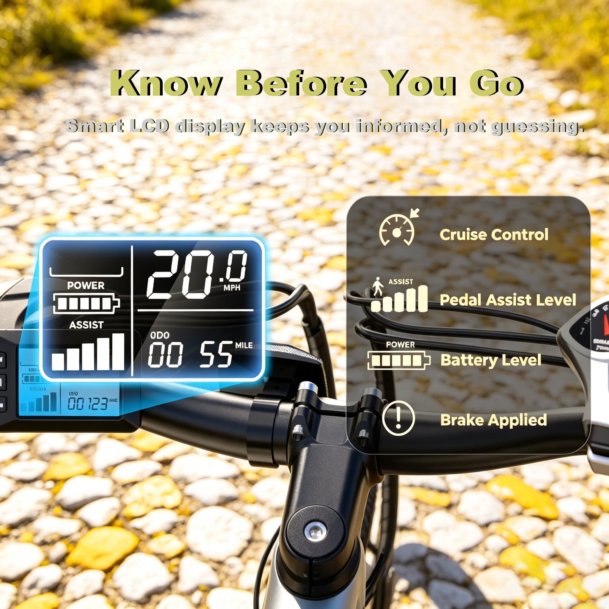 Adult Electric Bike 750W Peak Motor,20MPH E-Bike with 55 Miles+ Range,36V 15Ah Battery,Mountain Electric Bicycle for All-Day Trail Riding,Black