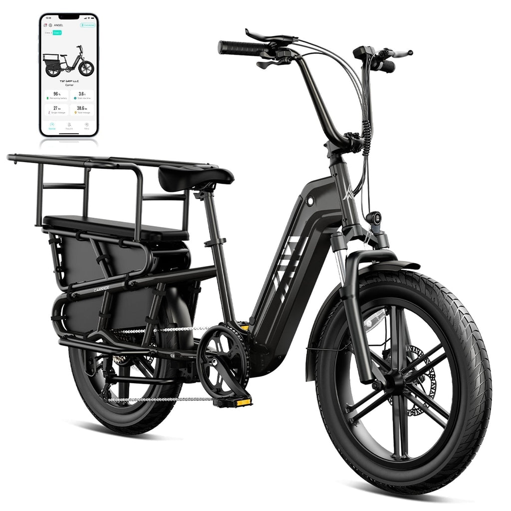 TST Electric Bike, 1500W E-Mountain Bike, 48V/15AH Removable Battery UL2849, Max Range 80Miles, 20 Fat Tire Ebike, 28mph Fast Cargo Ebikes, Electric Bicycle