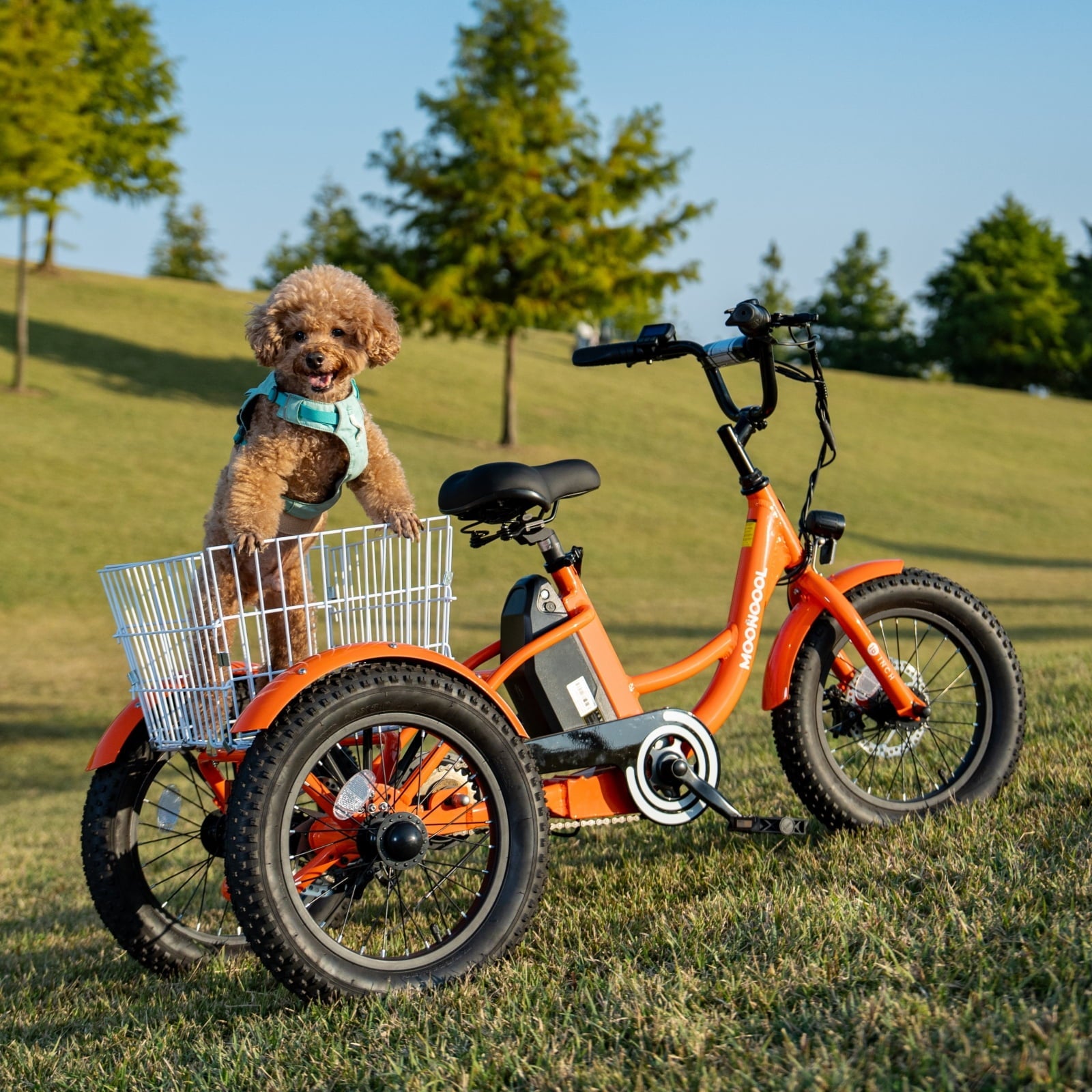 MOONCOOL Electric Tricycle for Kids ,16x3 3 Wheel 250W 10.4Ah Etrike W/ LED headlight & Rear Basket & horn bell & DIY stickers .6/9/12.5 MPH