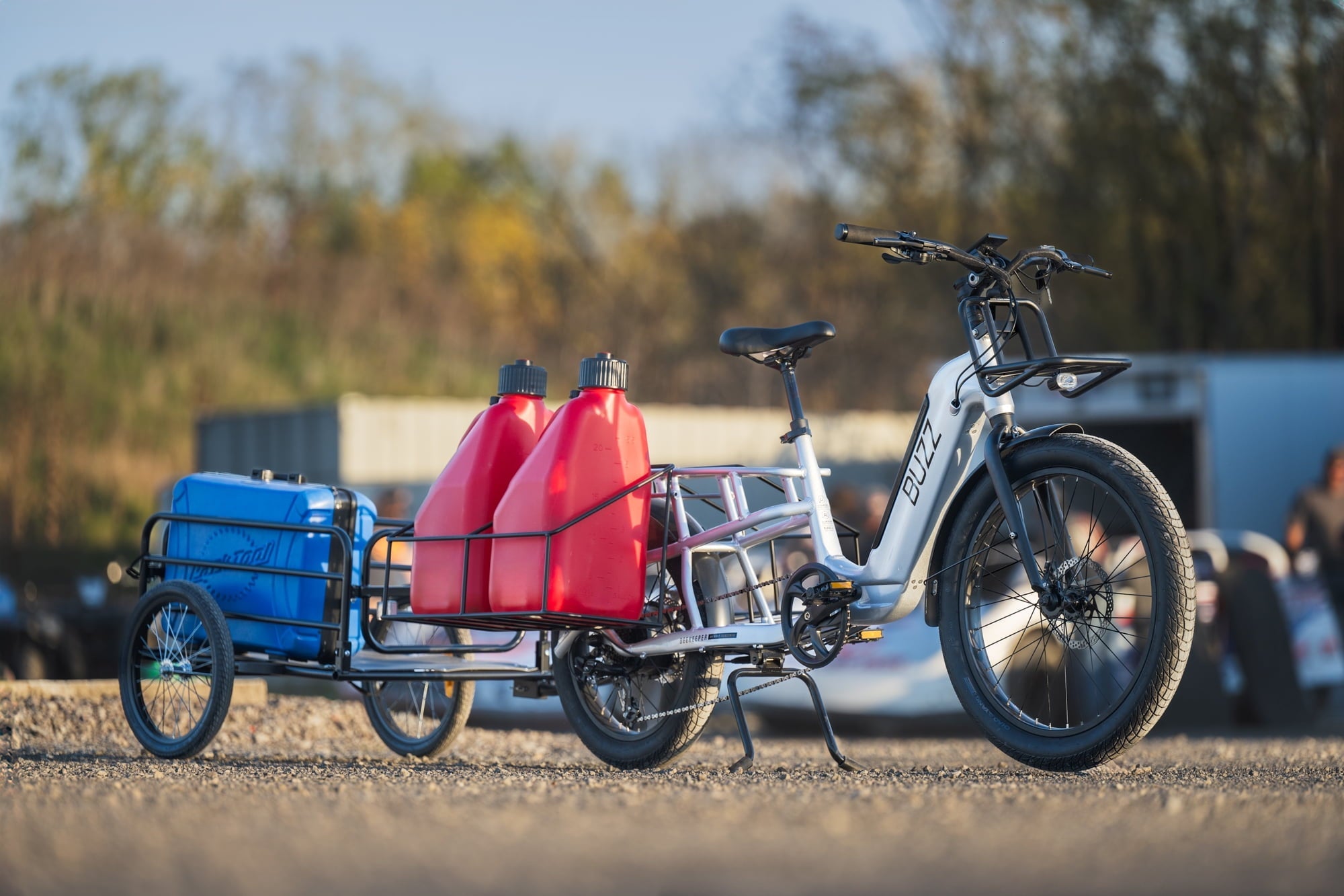 Buzz 24 Beekeeper 48V Electric Cargo Bike, Fits Riders 60+, Silver, Adult, Unisex