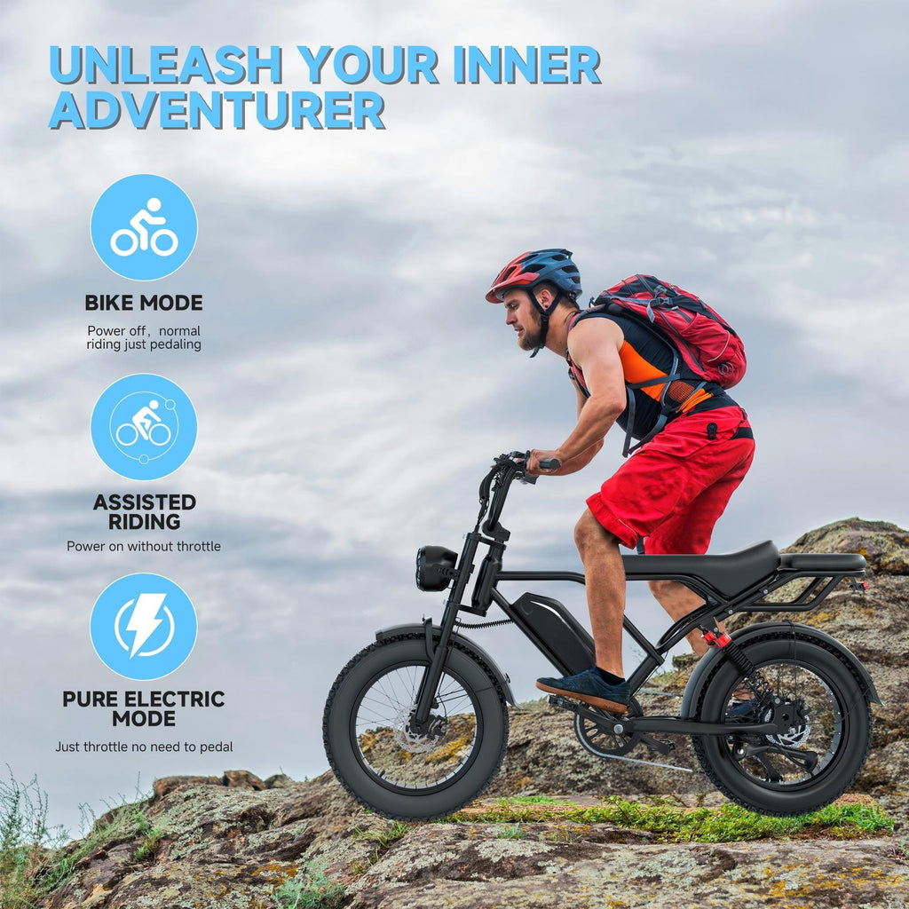 Electric Bike for Adults 20 X 4.0 Fat Tire, 750W Off-Road E Bike, E-Mountain Bike 48V 18AH UL2849