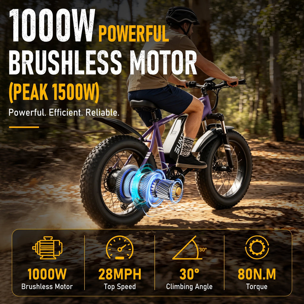 AMYET 1000W Electric Bike, 20 Fat Tire Ebike 28MPH 48V 15Ah E-Mountain Bicycles UL2849 Black
