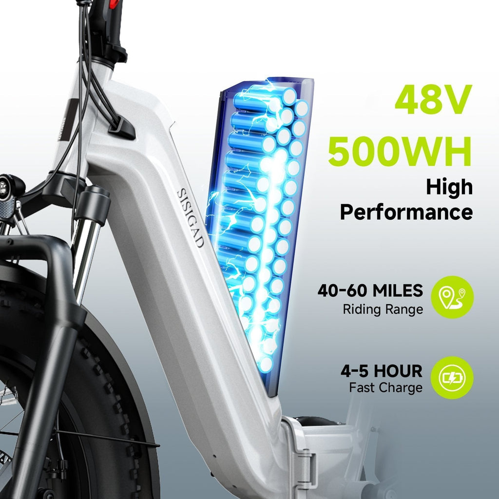 SISIGAD Electric Bike for Adults, 500W Peak 750W Battery Long Range, 20mph E Mountain Bike, 20×4.0 Fat Tire Ebike, Electric Bicycle 48V/10.4AH UL2849