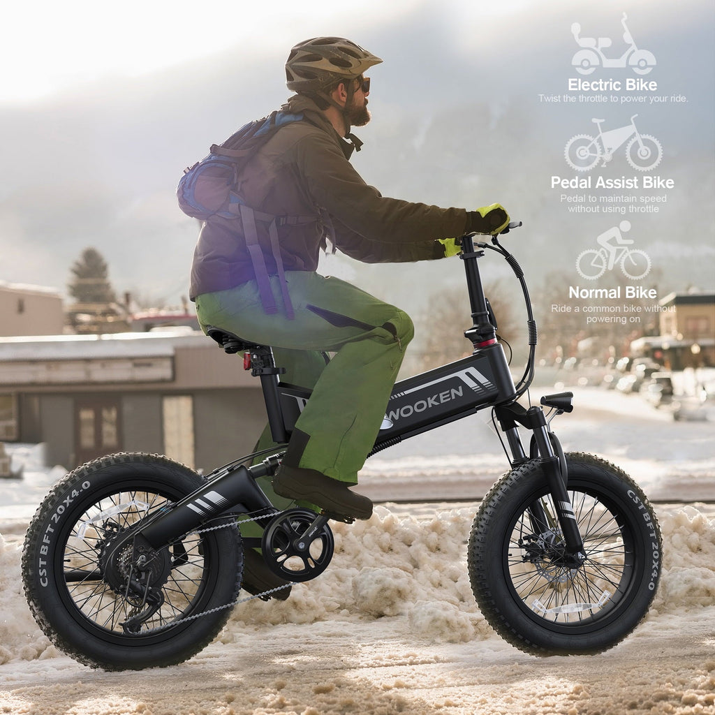 Wooken 20X4.0 Fat Tire Electric Bike for Adults, 500W Foldable Electric Bicycle with 48V 10Ah Built-in Battery, Shimano 7 Speed, Dual Shock Absorber