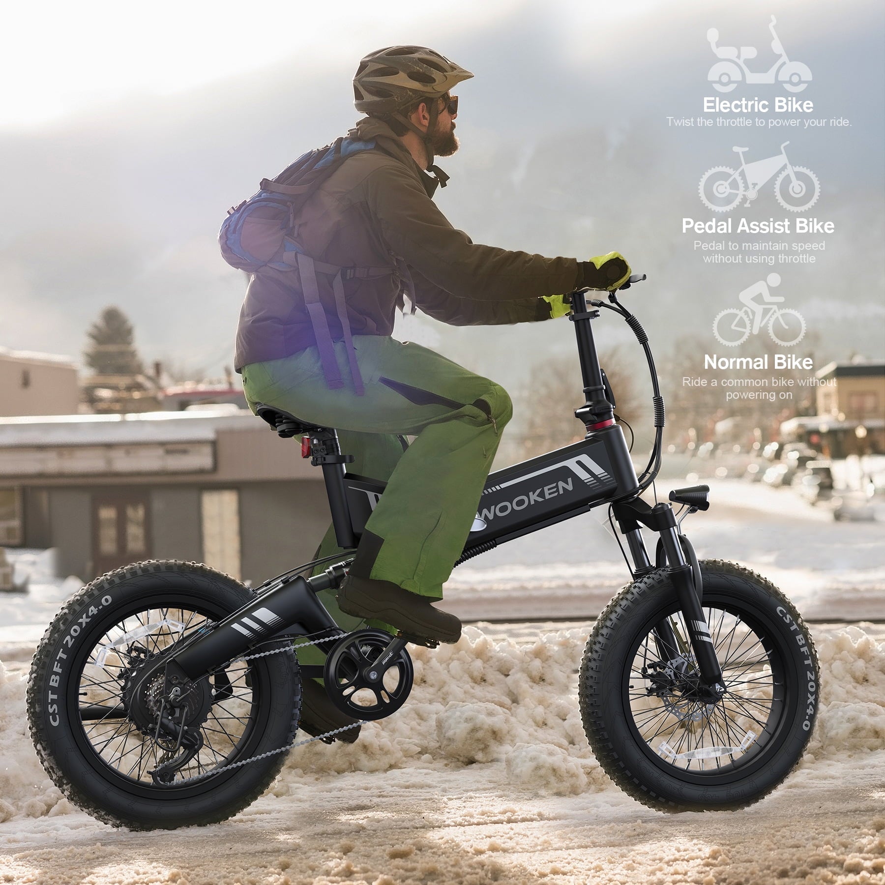 Wooken 20X4.0 Fat Tire Electric Bike for Adults, 500W Foldable Electric Bicycle with 48V 10Ah Built-in Battery, Shimano 7 Speed, Dual Shock Absorber