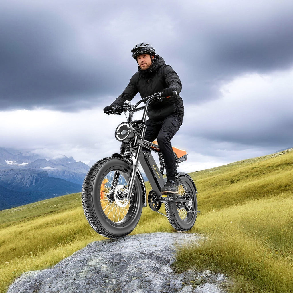 C INVERTER 20 x 4 Fat Tire Electric Bike for Adults, Peak 1100W Motor Retro Ebike Mountain Bike, 48V 14.5 Ah Removable Battery, Max Speed 28 Mph Electric Bicycle Snow Bike