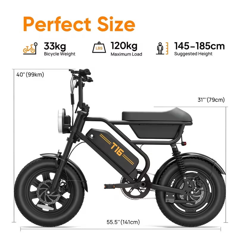 URLIFE 16*3.0 Fat Tire Electric Bike for Adult, 1000W Peak Motor, 48V 13Hh Removable Battery, Up to 28MPH 80Miles Range, Electric Dirt/Mountain Bike-UL2849