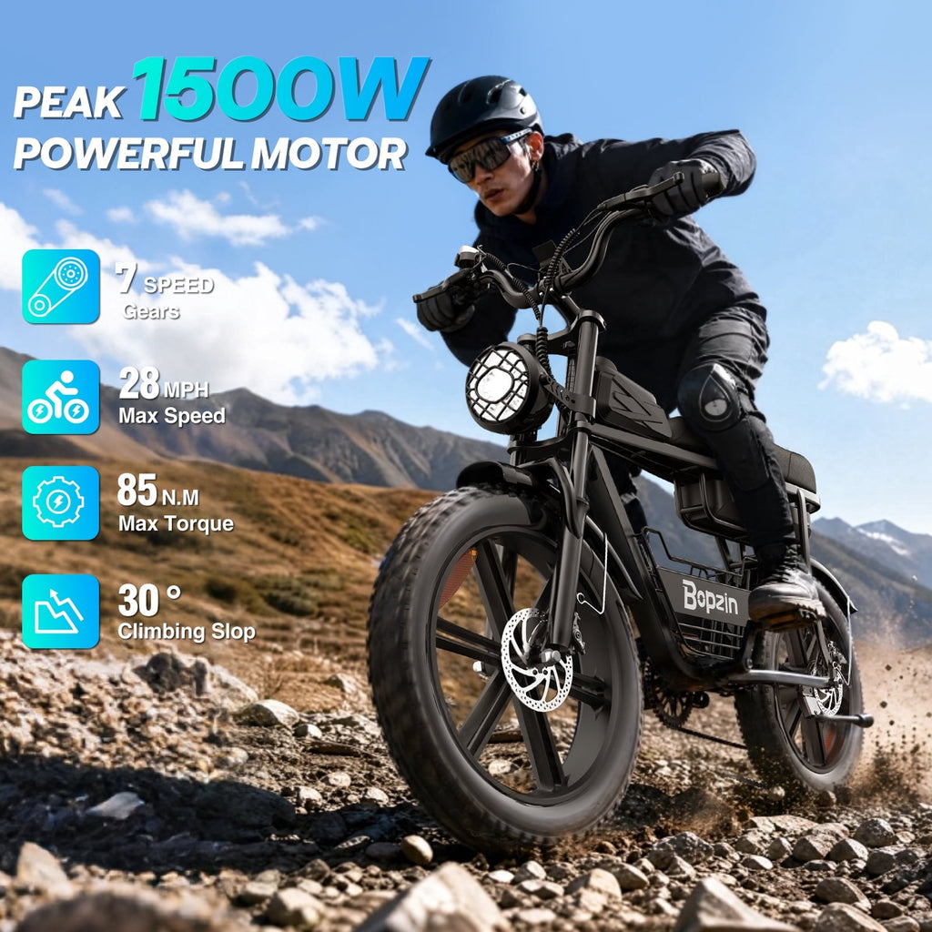 Electric Bike for Adults,1500W 35MPH,48V 20AH 30-80 Miles,20'' Fat Tire Mountain Bike with Rear Rack UL2849