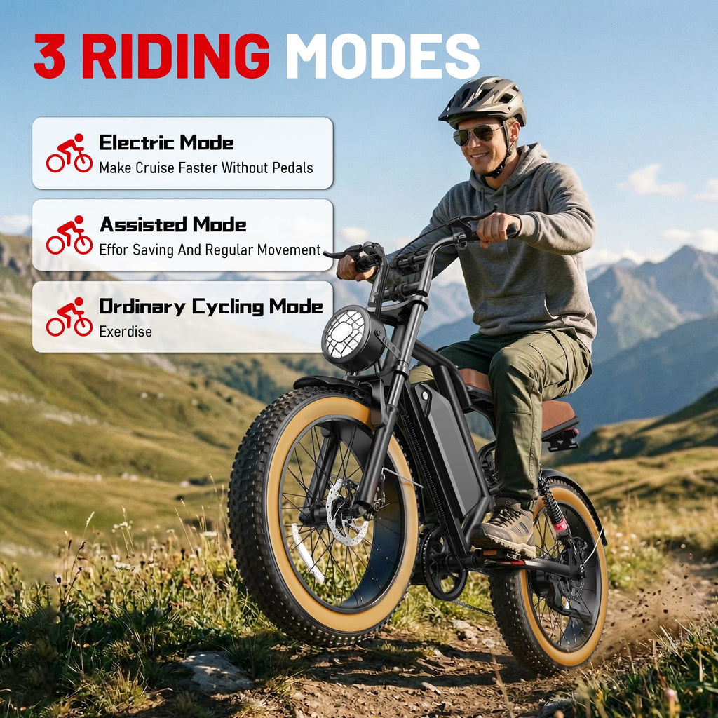 UL2849 Electric Bike for Adults - Peak 2000W Motor, 20x4 Fat Tire,48V/25AH, Full Suspension, 7-Speed