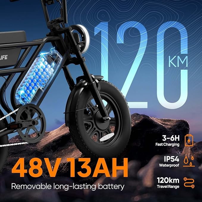 URLIFE 16*3.0 Fat Tire Electric Bike for Adult, 1000W Peak Motor, 48V 13Hh Removable Battery, Up to 28MPH 80Miles Range, Electric Dirt/Mountain Bike-UL2849
