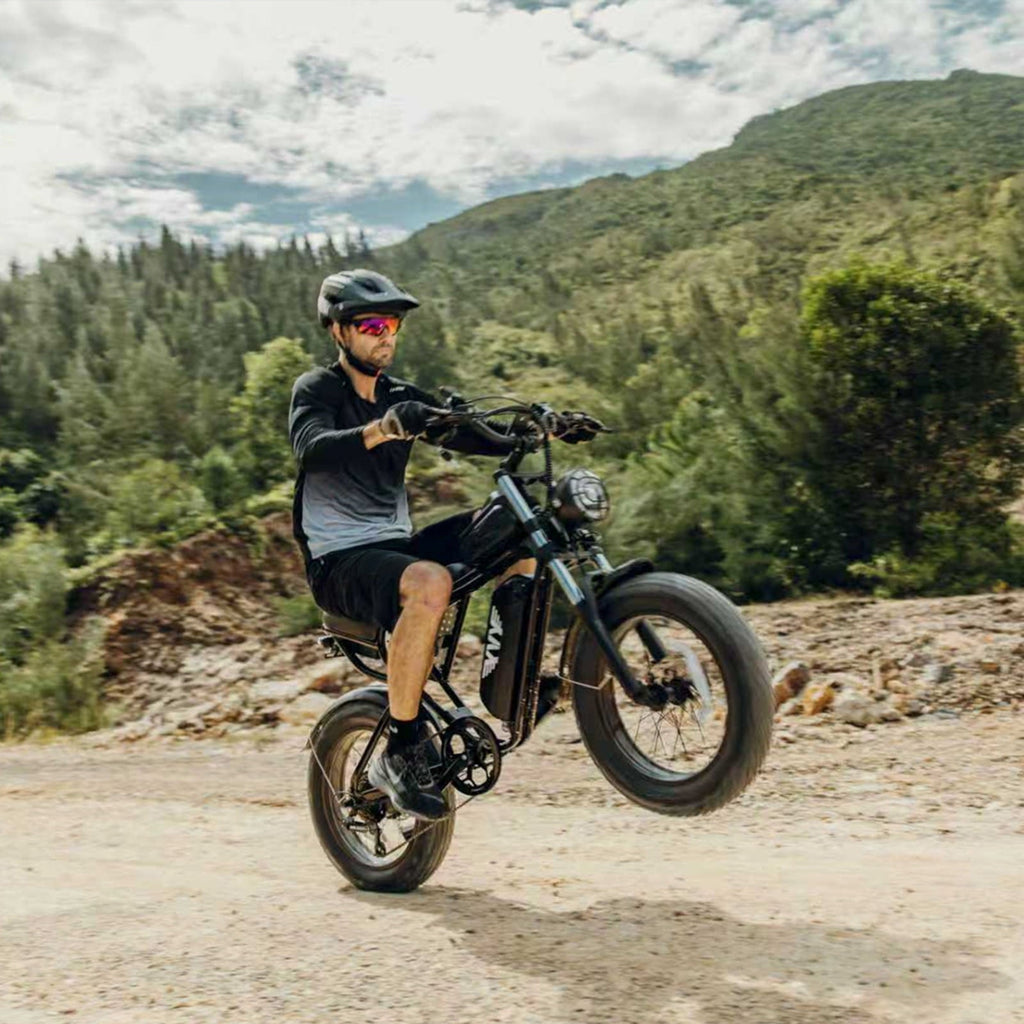 Electric Bike for Adults,1500W 35MPH,48V 20AH 30-80 Miles,20'' Fat Tire Mountain Bike with Rear Rack UL2849